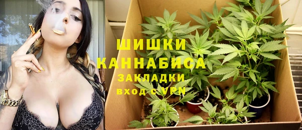 крисы Медногорск