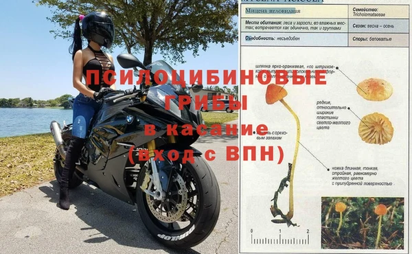 крисы Медногорск