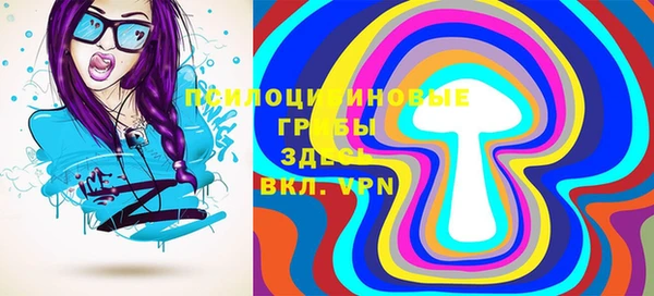 дживик Мегион