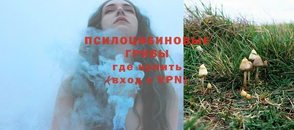 дживик Мегион
