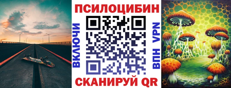 блэк спрут онион  Богородск  Псилоцибиновые грибы Cubensis 