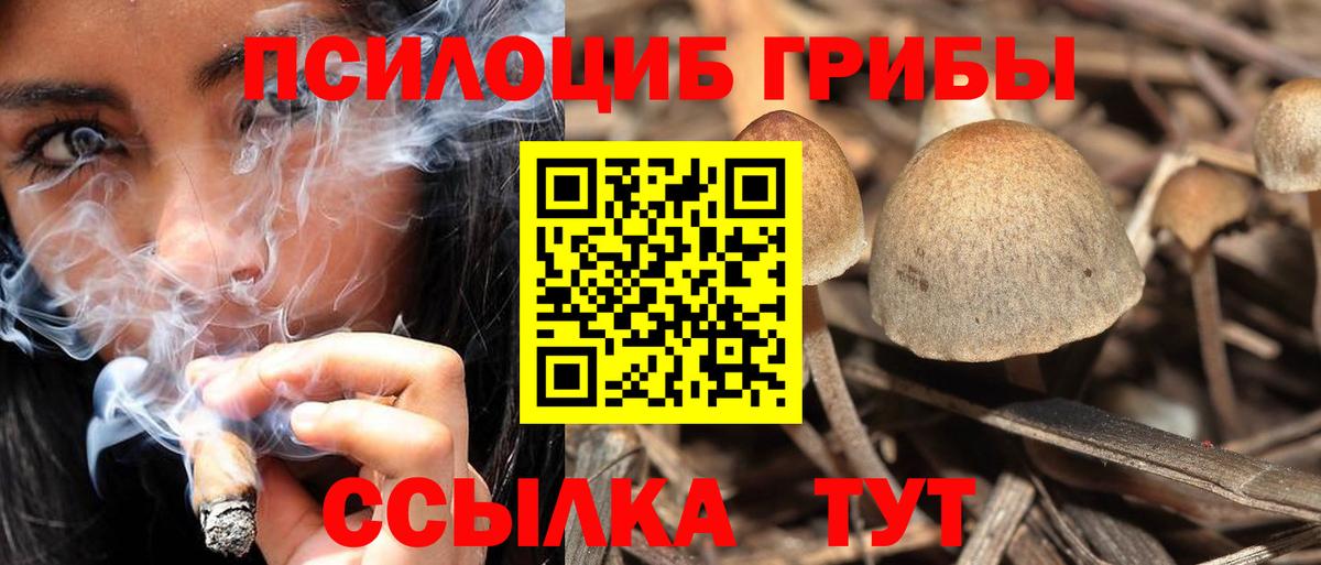 Псилоцибиновые грибы MAGIC MUSHROOMS Богородск
